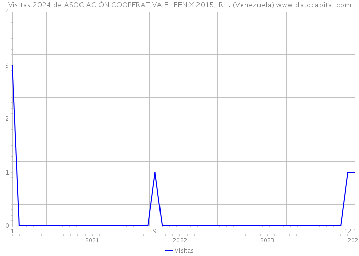 Visitas 2024 de ASOCIACIÓN COOPERATIVA EL FENIX 2015, R.L. (Venezuela) 