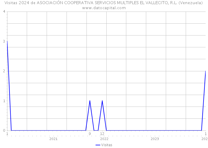 Visitas 2024 de ASOCIACIÓN COOPERATIVA SERVICIOS MULTIPLES EL VALLECITO, R.L. (Venezuela) 