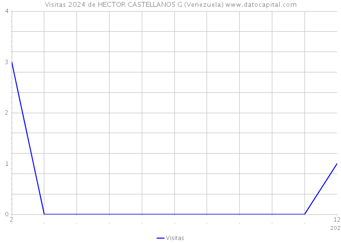 Visitas 2024 de HECTOR CASTELLANOS G (Venezuela) 