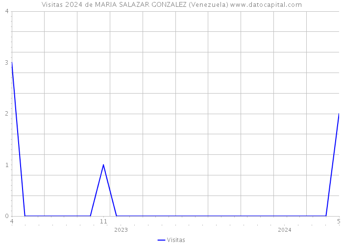 Visitas 2024 de MARIA SALAZAR GONZALEZ (Venezuela) 