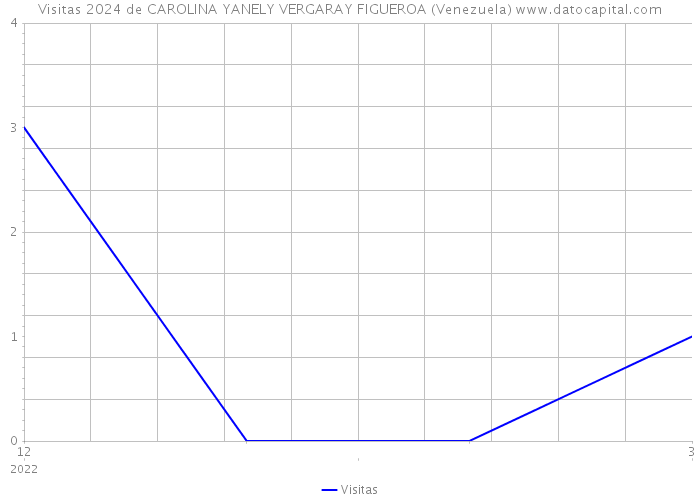 Visitas 2024 de CAROLINA YANELY VERGARAY FIGUEROA (Venezuela) 