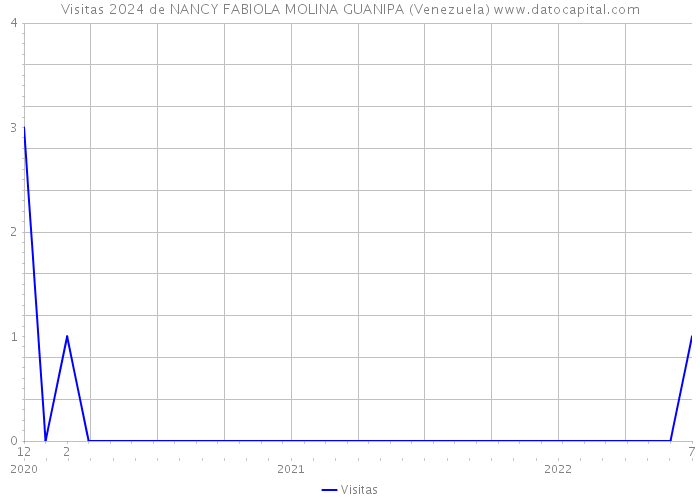 Visitas 2024 de NANCY FABIOLA MOLINA GUANIPA (Venezuela) 