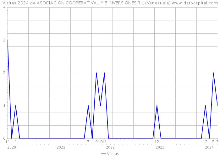 Visitas 2024 de ASOCIACION COOPERATIVA J Y E INVERSIONES R.L (Venezuela) 