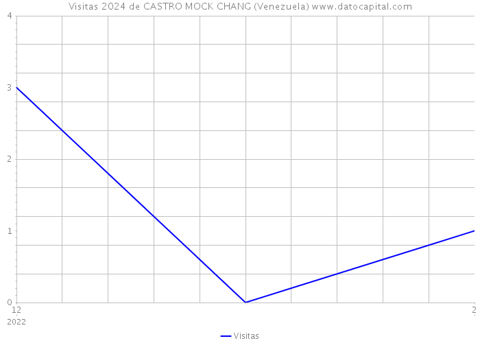 Visitas 2024 de CASTRO MOCK CHANG (Venezuela) 