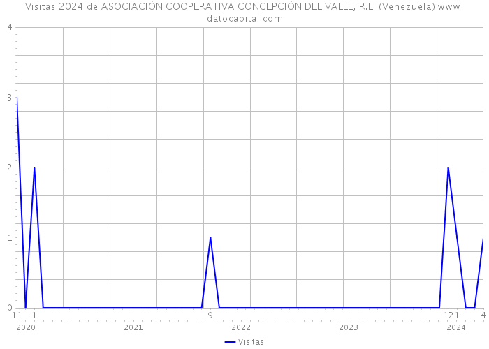 Visitas 2024 de ASOCIACIÓN COOPERATIVA CONCEPCIÓN DEL VALLE, R.L. (Venezuela) 
