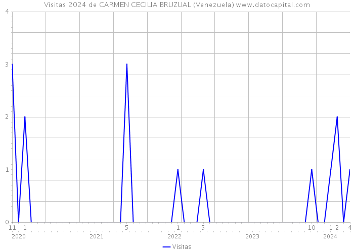 Visitas 2024 de CARMEN CECILIA BRUZUAL (Venezuela) 