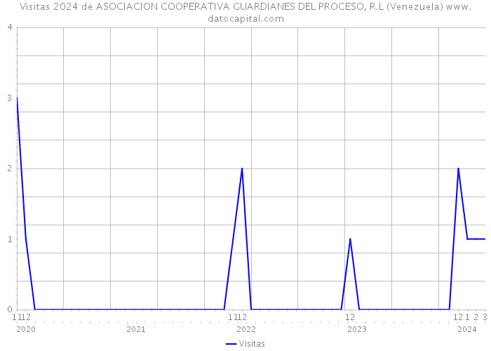 Visitas 2024 de ASOCIACION COOPERATIVA GUARDIANES DEL PROCESO, R.L (Venezuela) 