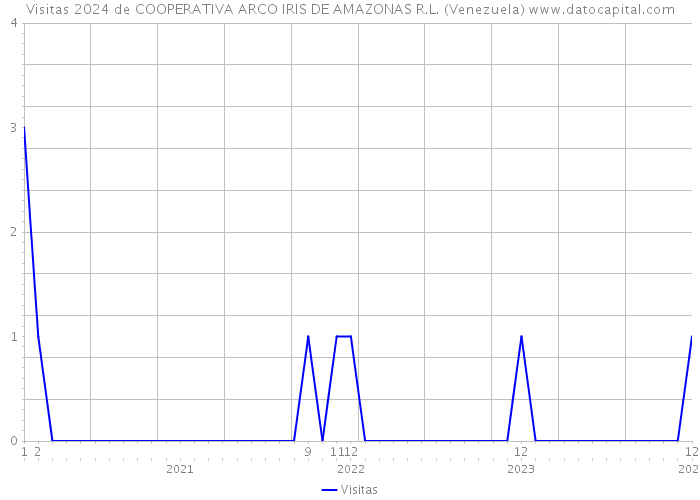 Visitas 2024 de COOPERATIVA ARCO IRIS DE AMAZONAS R.L. (Venezuela) 