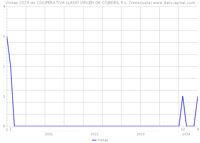Visitas 2024 de COOPERATIVA LLANO VIRGEN DE COJEDES, R.L. (Venezuela) 