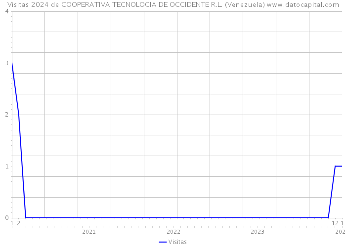 Visitas 2024 de COOPERATIVA TECNOLOGIA DE OCCIDENTE R.L. (Venezuela) 