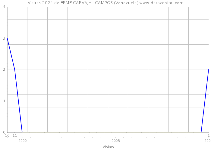 Visitas 2024 de ERME CARVAJAL CAMPOS (Venezuela) 