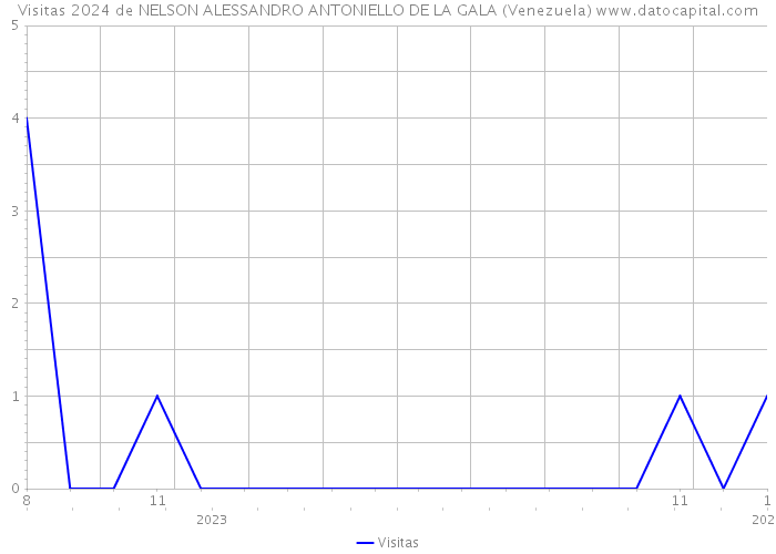 Visitas 2024 de NELSON ALESSANDRO ANTONIELLO DE LA GALA (Venezuela) 