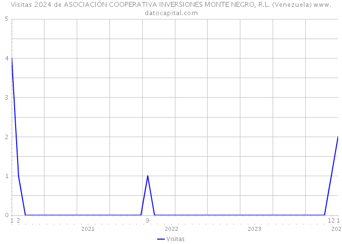 Visitas 2024 de ASOCIACIÓN COOPERATIVA INVERSIONES MONTE NEGRO, R.L. (Venezuela) 