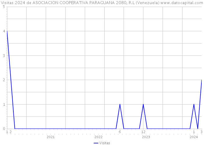 Visitas 2024 de ASOCIACION COOPERATIVA PARAGUANA 2080, R.L (Venezuela) 