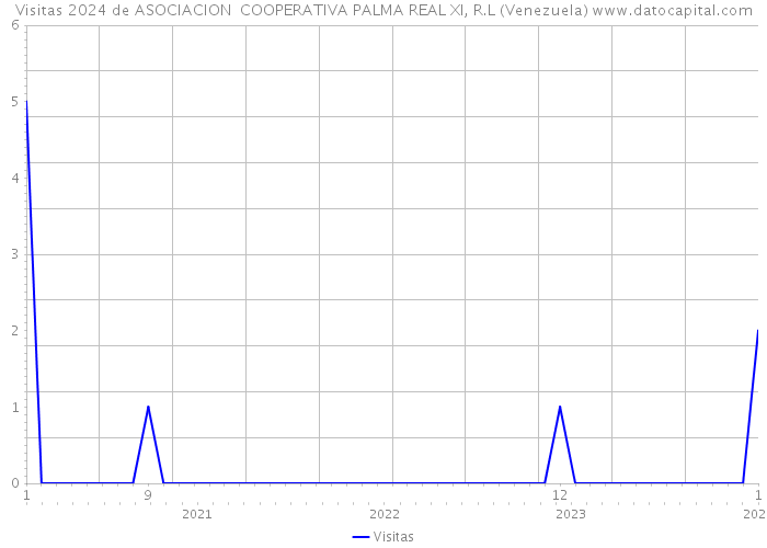 Visitas 2024 de ASOCIACION COOPERATIVA PALMA REAL XI, R.L (Venezuela) 