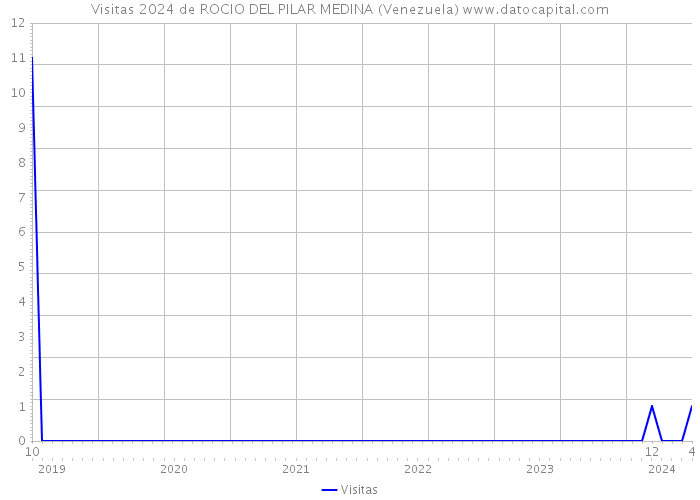 Visitas 2024 de ROCIO DEL PILAR MEDINA (Venezuela) 
