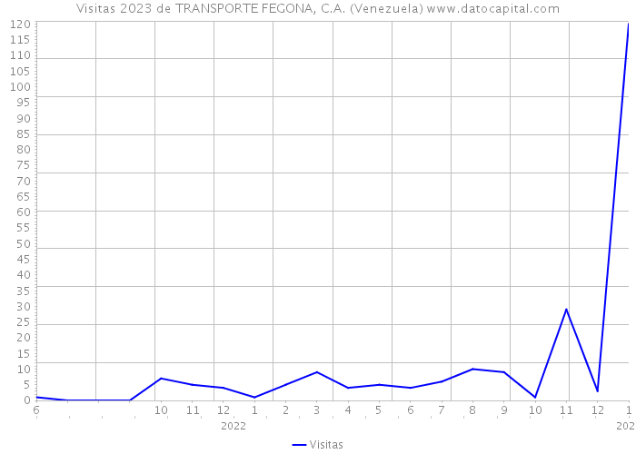 Visitas 2023 de TRANSPORTE FEGONA, C.A. (Venezuela) 