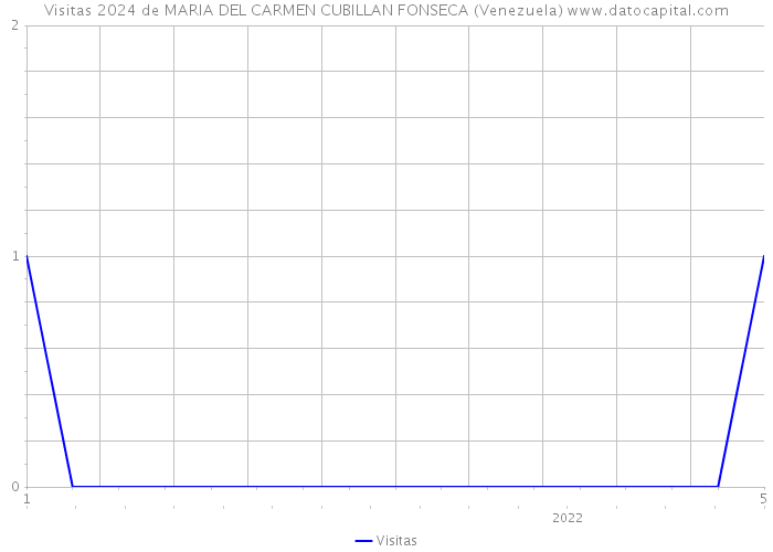 Visitas 2024 de MARIA DEL CARMEN CUBILLAN FONSECA (Venezuela) 