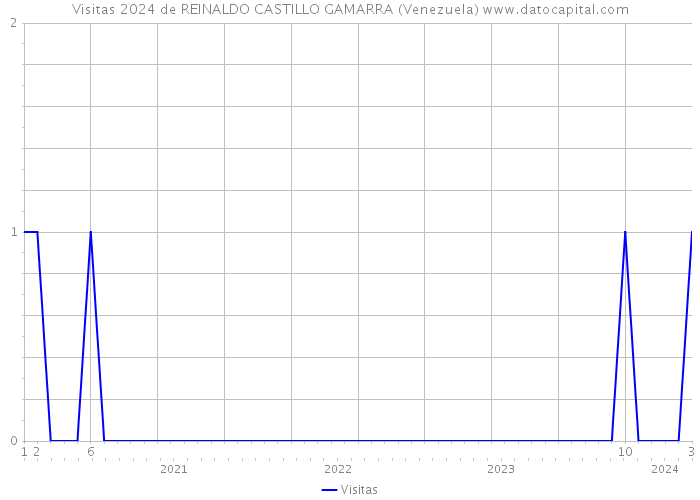 Visitas 2024 de REINALDO CASTILLO GAMARRA (Venezuela) 