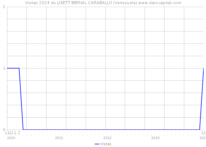 Visitas 2024 de LISETT BERNAL CARABALLO (Venezuela) 