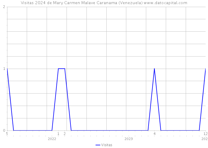 Visitas 2024 de Mary Carmen Malave Caranama (Venezuela) 