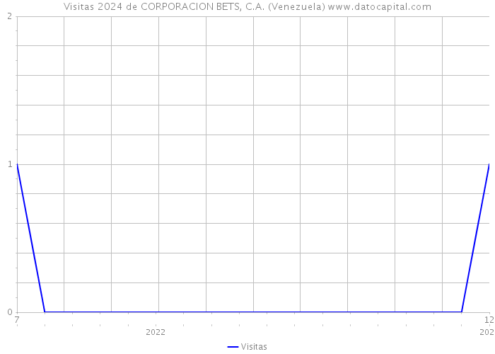 Visitas 2024 de CORPORACION BETS, C.A. (Venezuela) 