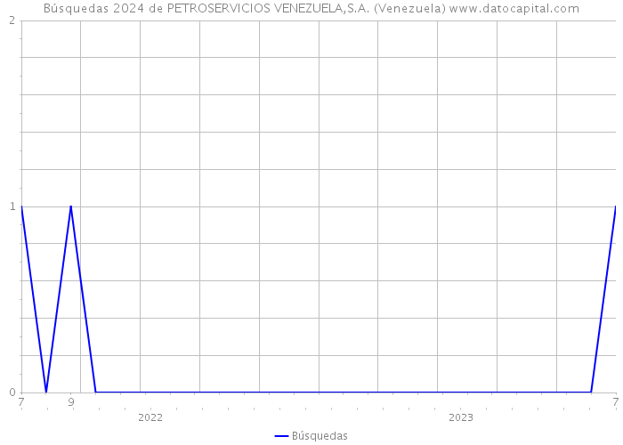 Búsquedas 2024 de PETROSERVICIOS VENEZUELA,S.A. (Venezuela) 