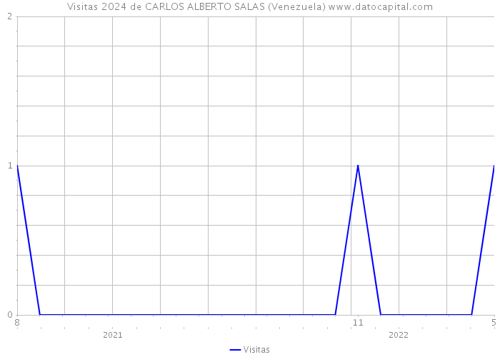 Visitas 2024 de CARLOS ALBERTO SALAS (Venezuela) 