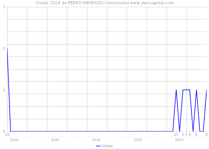 Visitas 2024 de PEDRO MENDOZA (Venezuela) 