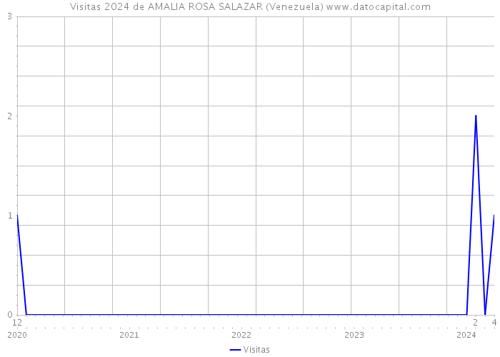 Visitas 2024 de AMALIA ROSA SALAZAR (Venezuela) 