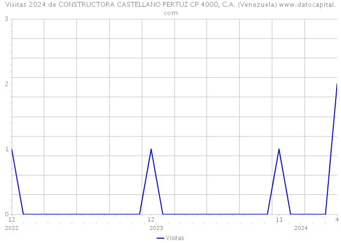 Visitas 2024 de CONSTRUCTORA CASTELLANO PERTUZ CP 4000, C.A. (Venezuela) 