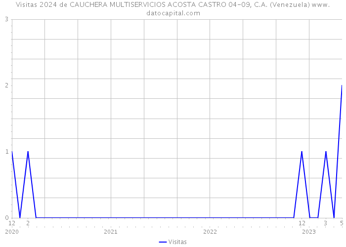 Visitas 2024 de CAUCHERA MULTISERVICIOS ACOSTA CASTRO 04-09, C.A. (Venezuela) 