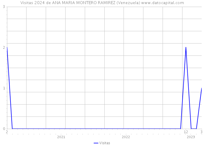 Visitas 2024 de ANA MARIA MONTERO RAMIREZ (Venezuela) 