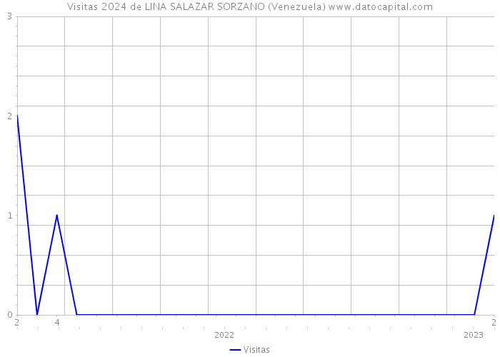 Visitas 2024 de LINA SALAZAR SORZANO (Venezuela) 