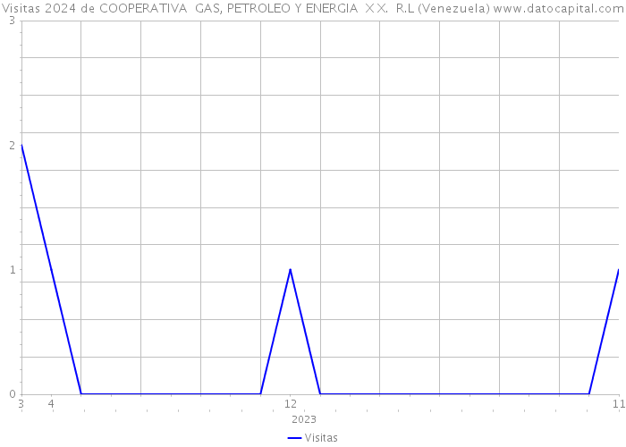 Visitas 2024 de COOPERATIVA GAS, PETROLEO Y ENERGIA X X. R.L (Venezuela) 