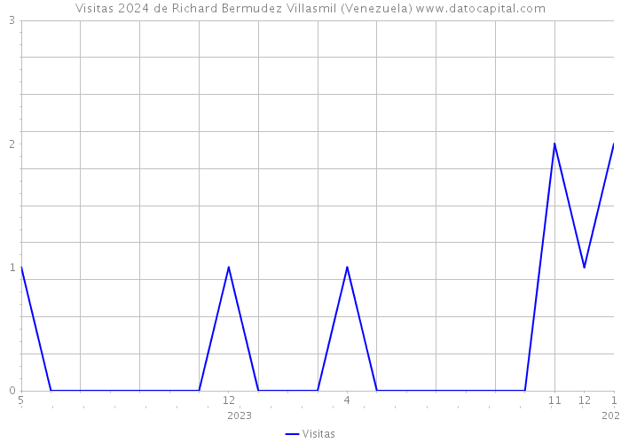 Visitas 2024 de Richard Bermudez Villasmil (Venezuela) 
