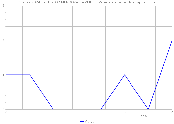 Visitas 2024 de NESTOR MENDOZA CAMPILLO (Venezuela) 
