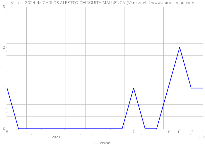 Visitas 2024 de CARLOS ALBERTO CHIRGUITA MALUENGA (Venezuela) 