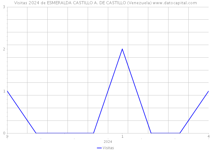 Visitas 2024 de ESMERALDA CASTILLO A. DE CASTILLO (Venezuela) 