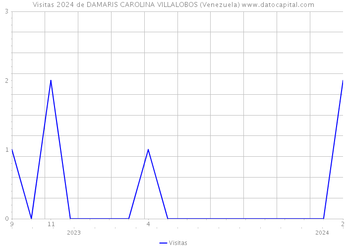 Visitas 2024 de DAMARIS CAROLINA VILLALOBOS (Venezuela) 