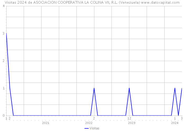 Visitas 2024 de ASOCIACION COOPERATIVA LA COLINA VII, R.L. (Venezuela) 