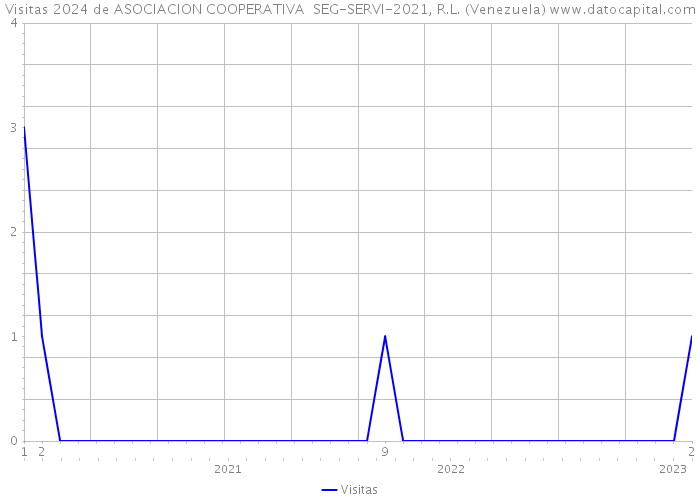 Visitas 2024 de ASOCIACION COOPERATIVA SEG-SERVI-2021, R.L. (Venezuela) 