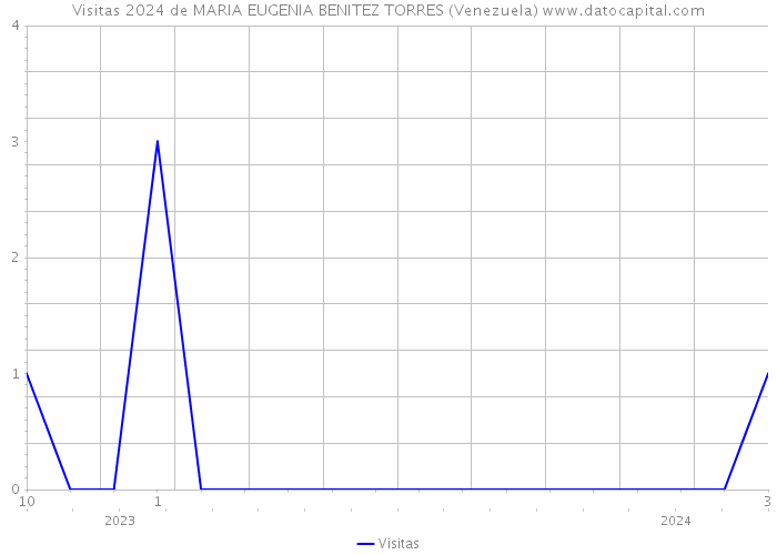 Visitas 2024 de MARIA EUGENIA BENITEZ TORRES (Venezuela) 
