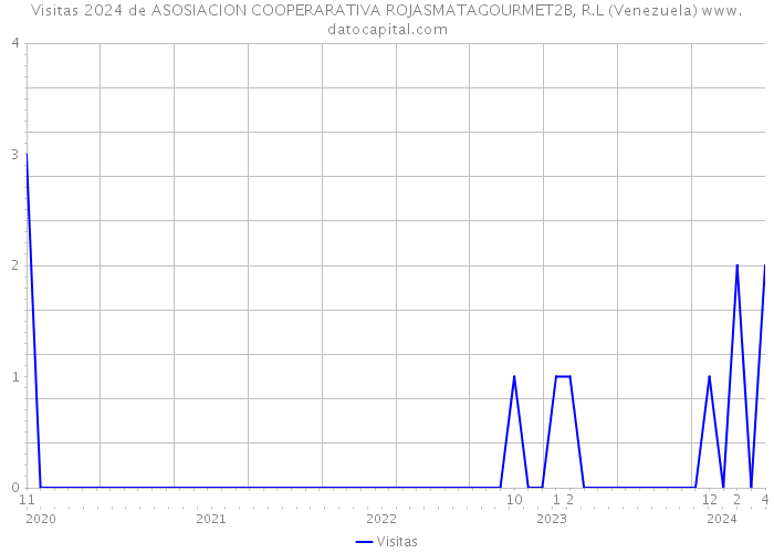 Visitas 2024 de ASOSIACION COOPERARATIVA ROJASMATAGOURMET2B, R.L (Venezuela) 