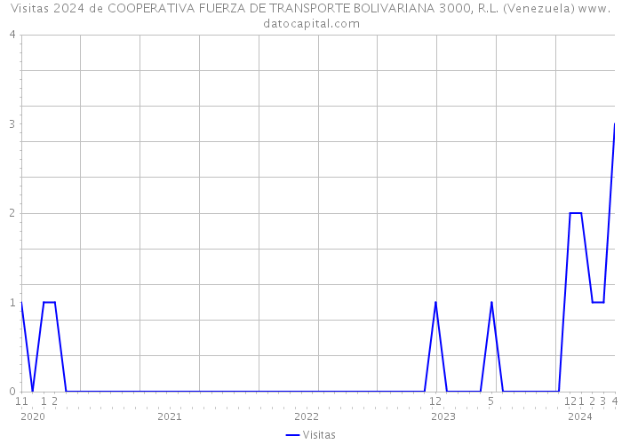 Visitas 2024 de COOPERATIVA FUERZA DE TRANSPORTE BOLIVARIANA 3000, R.L. (Venezuela) 