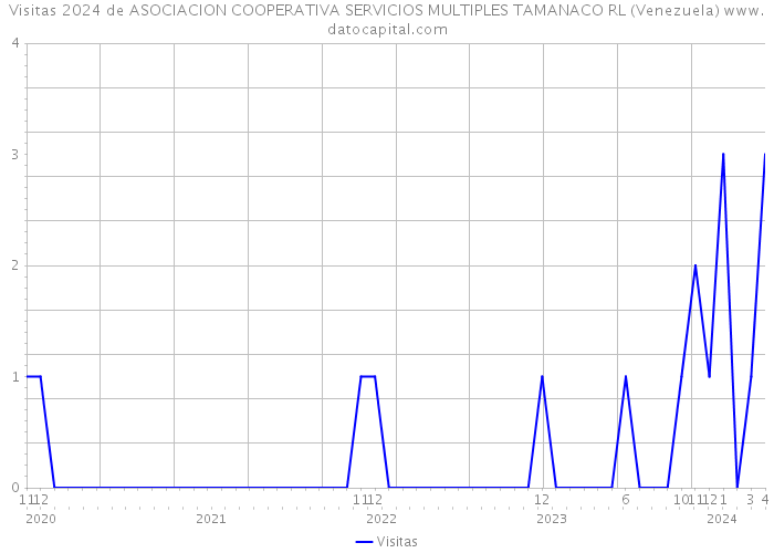 Visitas 2024 de ASOCIACION COOPERATIVA SERVICIOS MULTIPLES TAMANACO RL (Venezuela) 