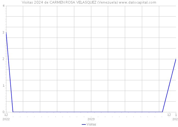 Visitas 2024 de CARMEN ROSA VELASQUEZ (Venezuela) 
