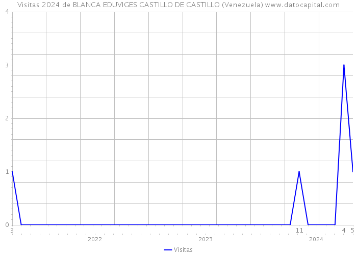 Visitas 2024 de BLANCA EDUVIGES CASTILLO DE CASTILLO (Venezuela) 