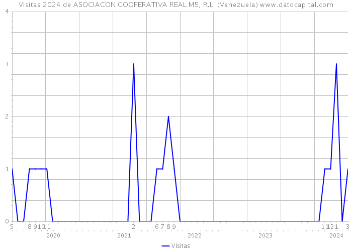 Visitas 2024 de ASOCIACON COOPERATIVA REAL M5, R.L. (Venezuela) 