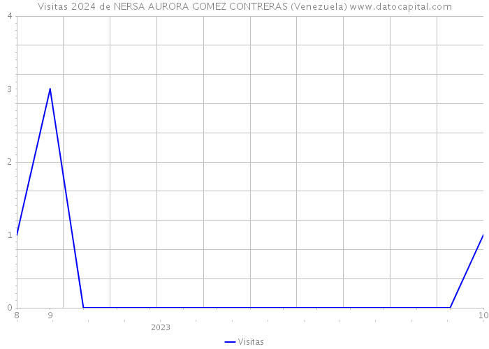 Visitas 2024 de NERSA AURORA GOMEZ CONTRERAS (Venezuela) 